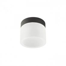 Naida plafon led 6W 3000K/4000K 550lm IP44 czarny
